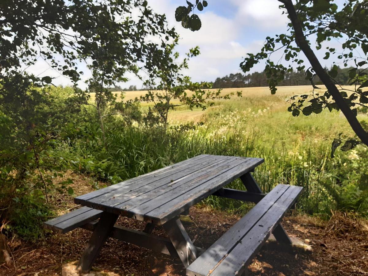 Rejkjaer Camping Hytter & Lejligheder Ulfborg Zewnętrze zdjęcie
