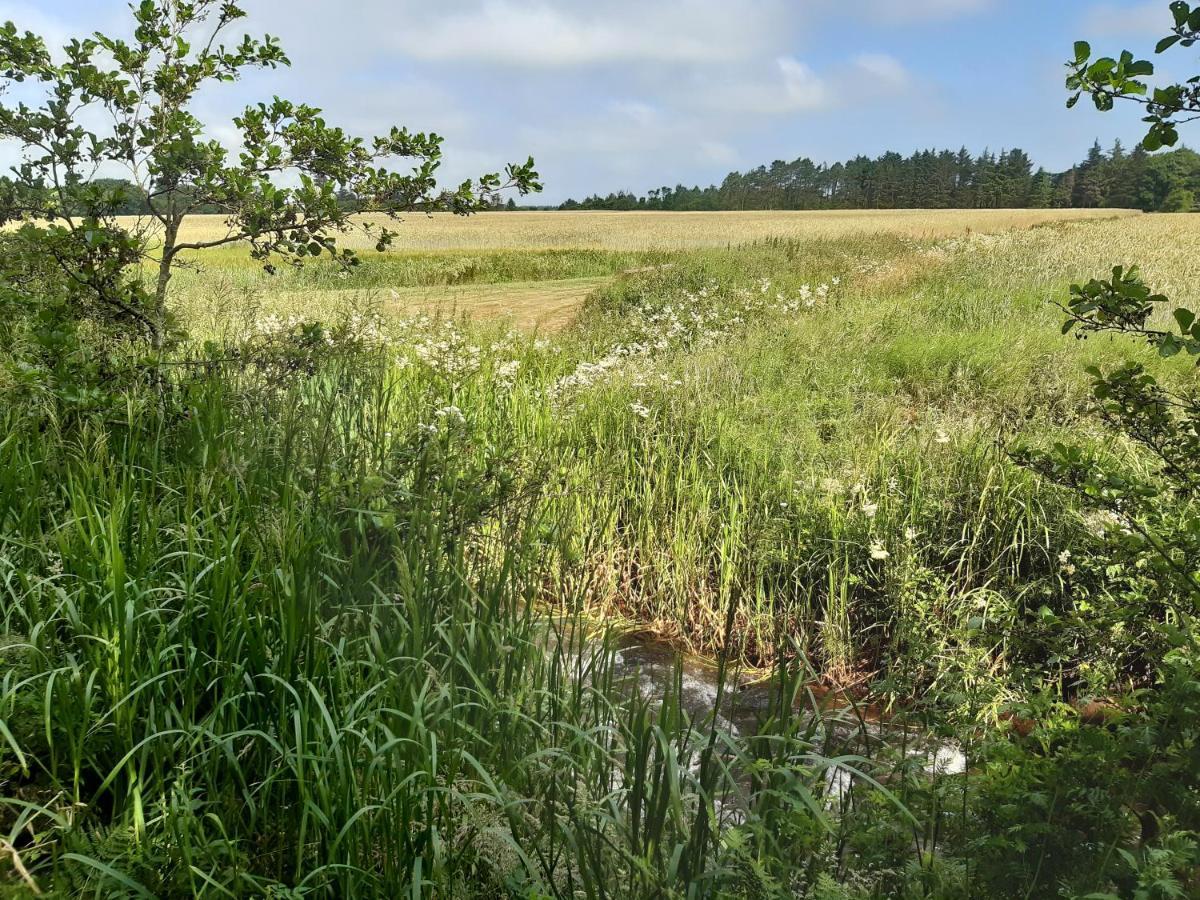 Rejkjaer Camping Hytter & Lejligheder Ulfborg Zewnętrze zdjęcie
